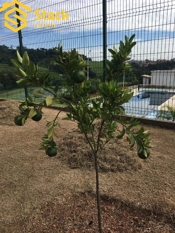 Terreno, 84 m² - Foto 4