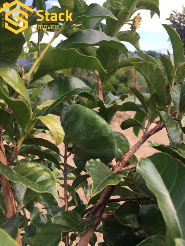 Terreno, 84 m² - Foto 8