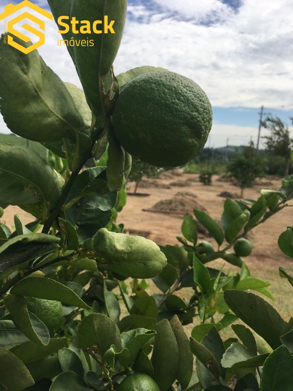 Terreno, 84 m² - Foto 11