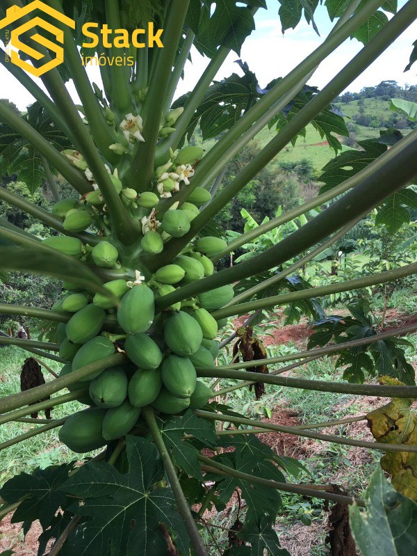 Terreno, 800 m² - Foto 5