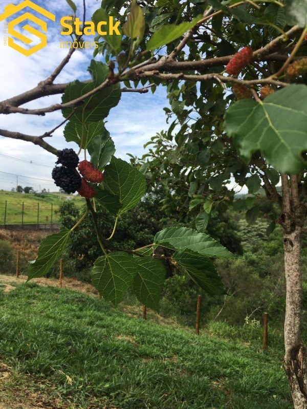 Terreno, 800 m² - Foto 4