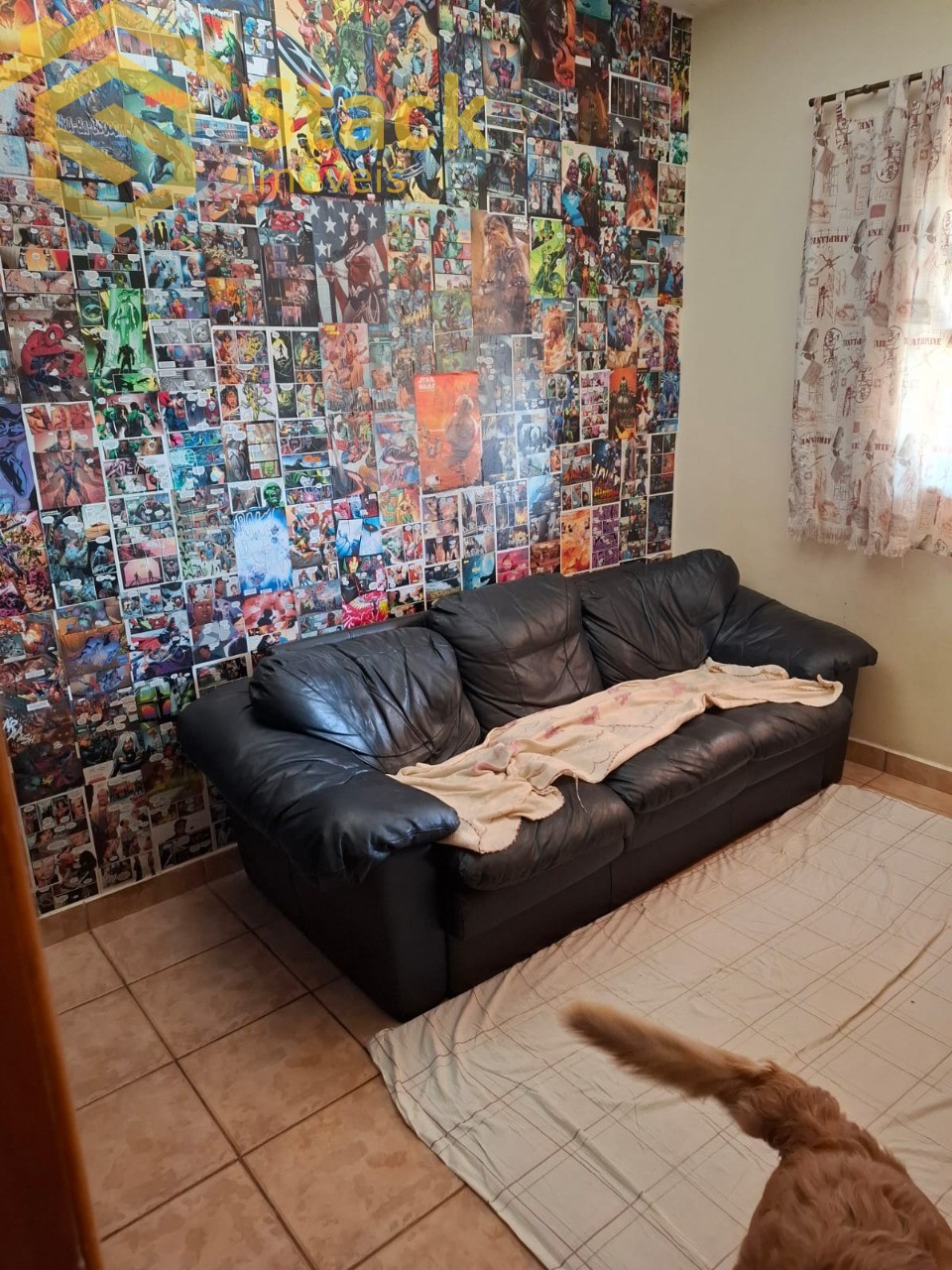 Chácara, 6 quartos, 1000 m² - Foto 16