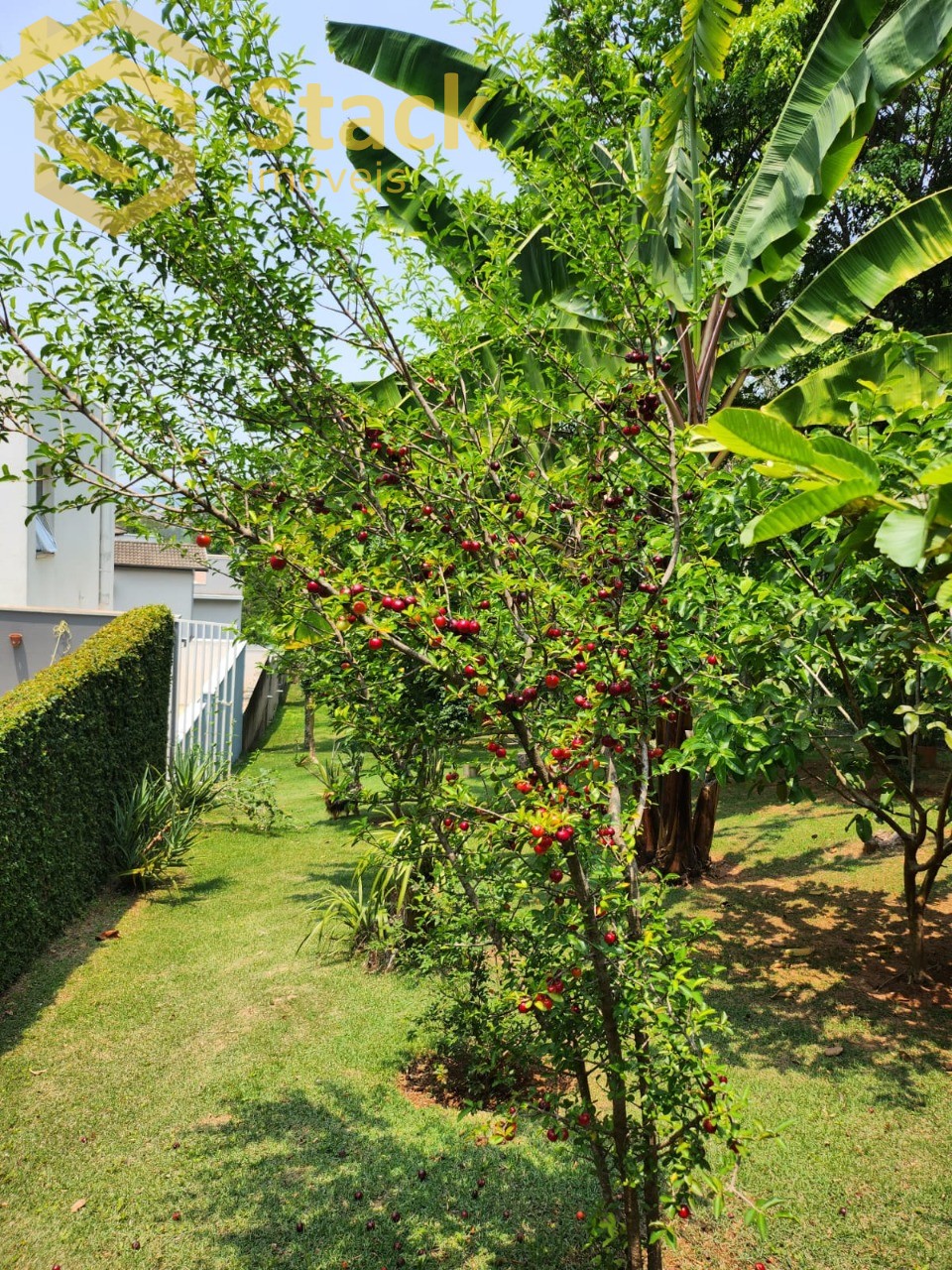 Casa, 3 quartos, 209 m² - Foto 26