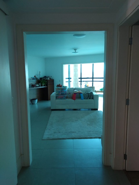 Apartamento, 4 quartos, 264 m² - Foto 2