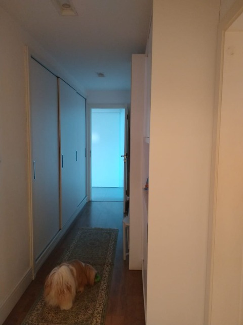 Apartamento, 4 quartos, 264 m² - Foto 12