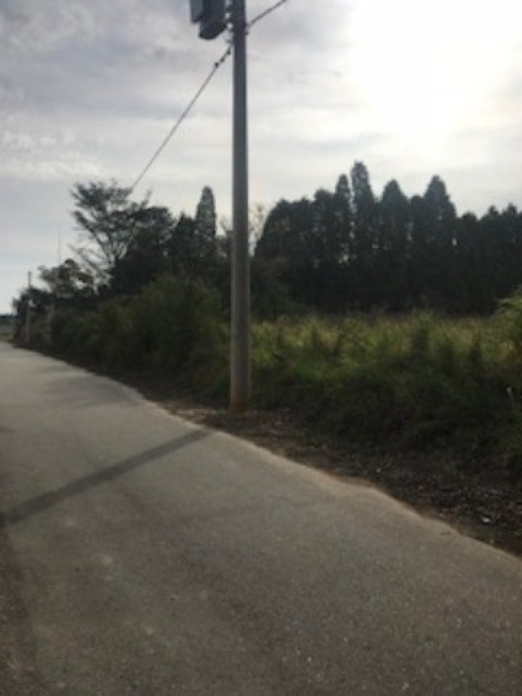 Terreno, 5000 m² - Foto 5
