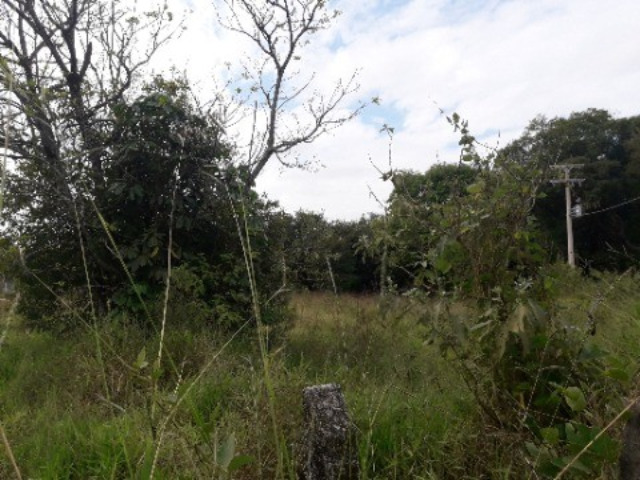 Terreno, 5000 m² - Foto 6