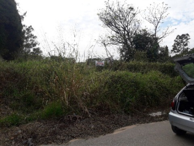Terreno, 5000 m² - Foto 8