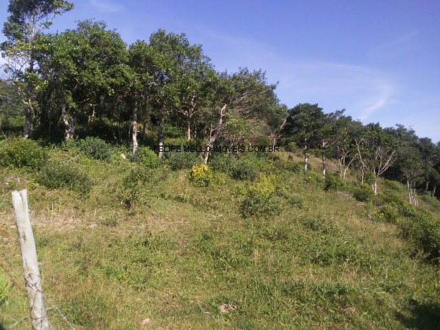 Terreno, 6850 m² - Foto 5