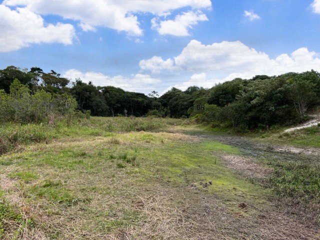 Terreno, 4025 m² - Foto 8