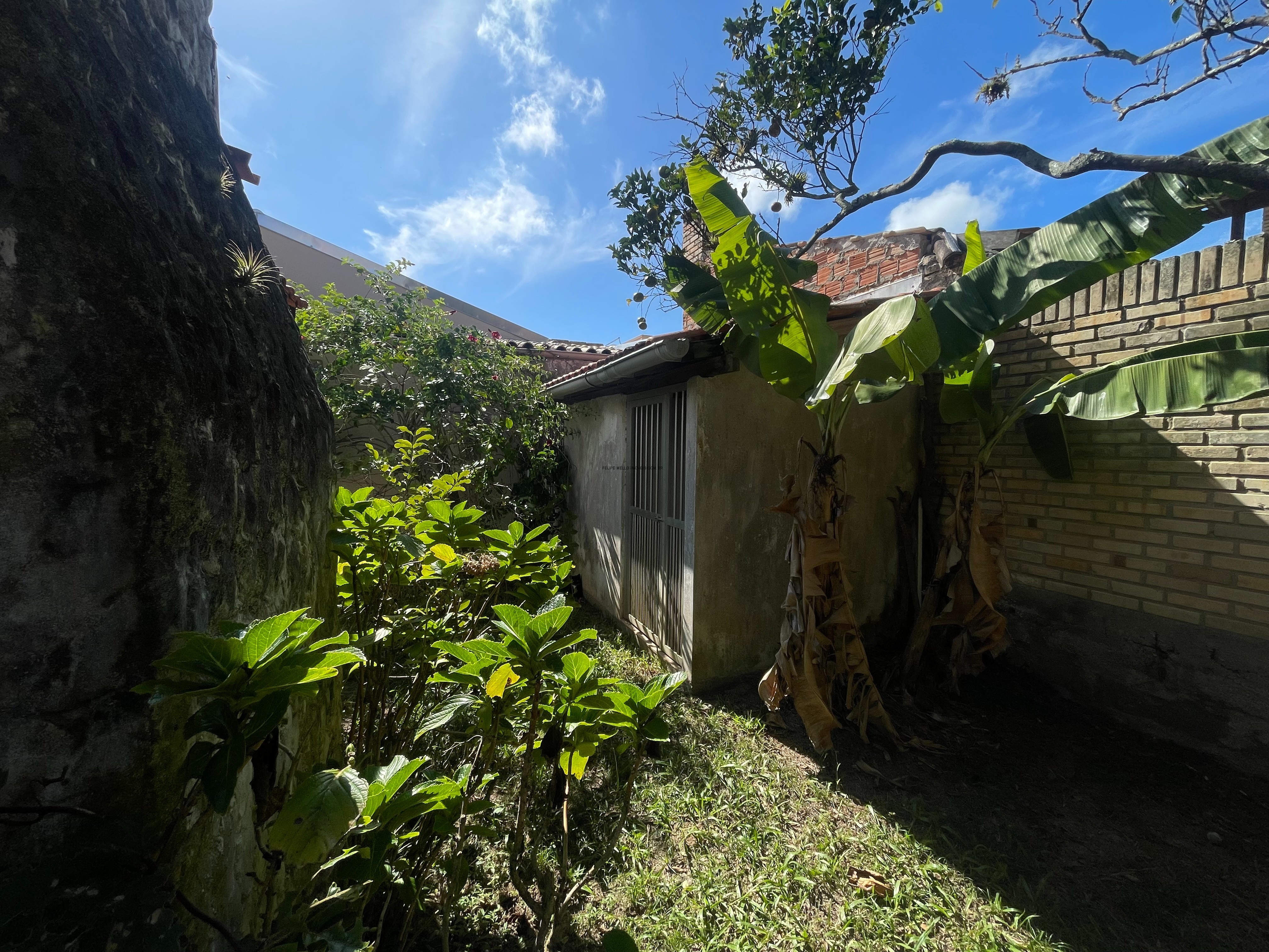 Casa, 4 quartos - Foto 17
