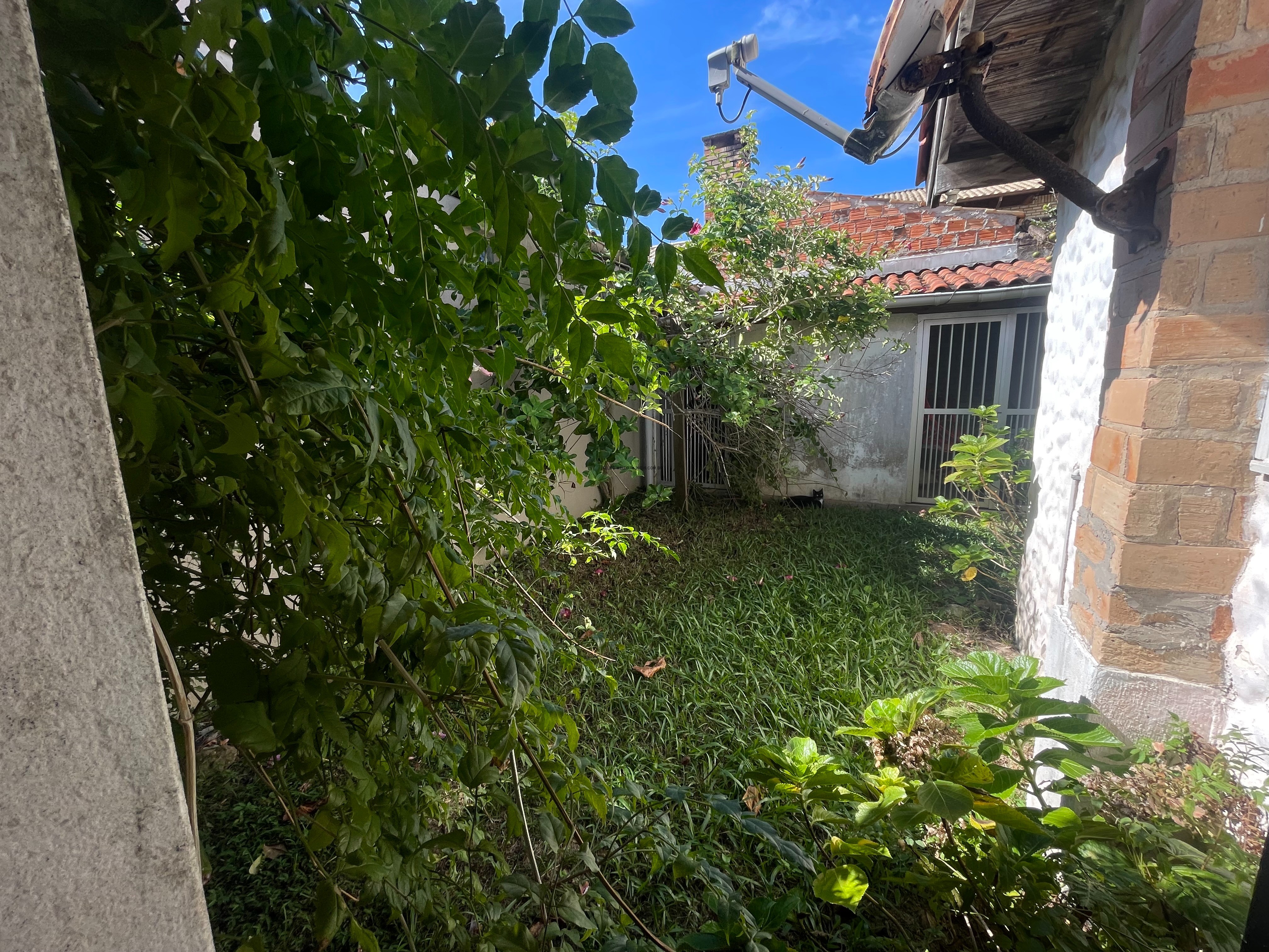 Casa, 4 quartos - Foto 3