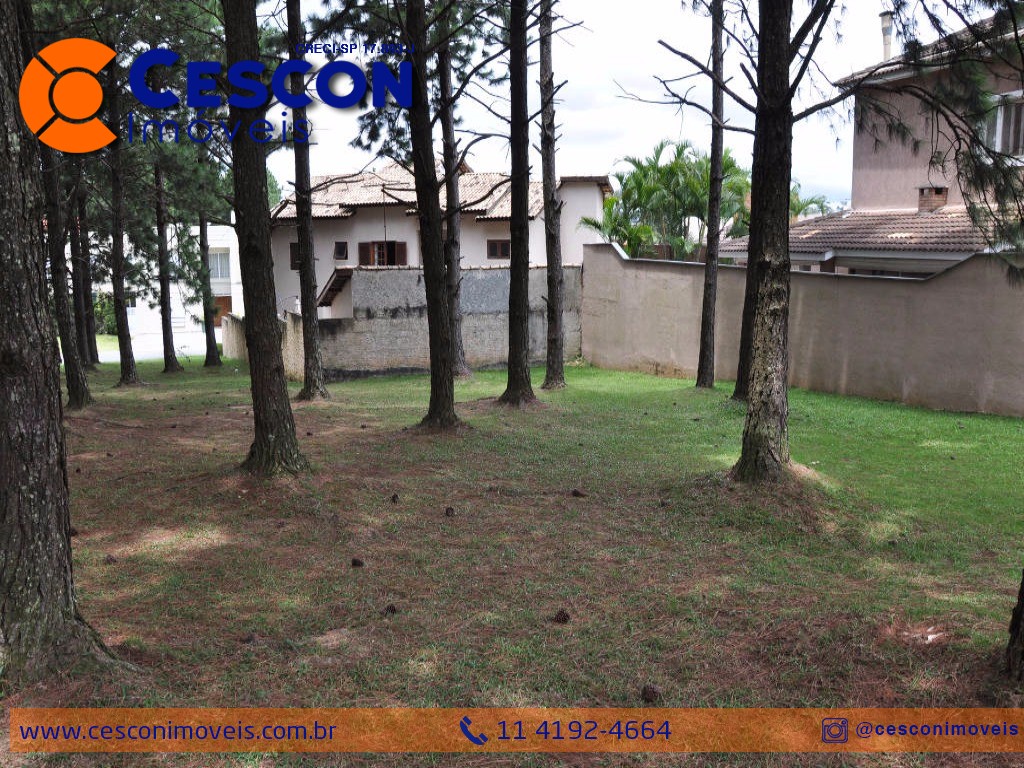 Terreno, 559 m² - Foto 4