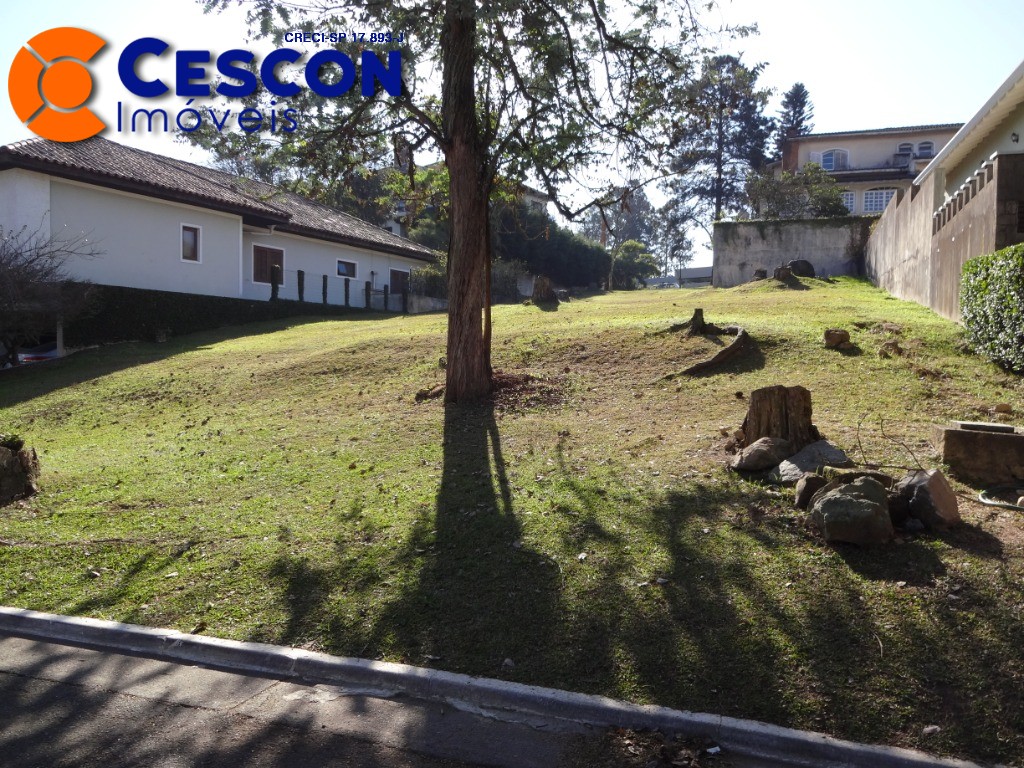 Terreno, 526 m² - Foto 6