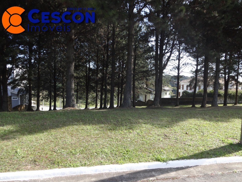 Terreno, 630 m² - Foto 8