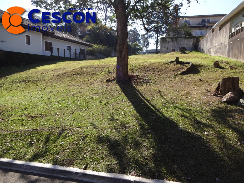 Terreno, 526 m² - Foto 5