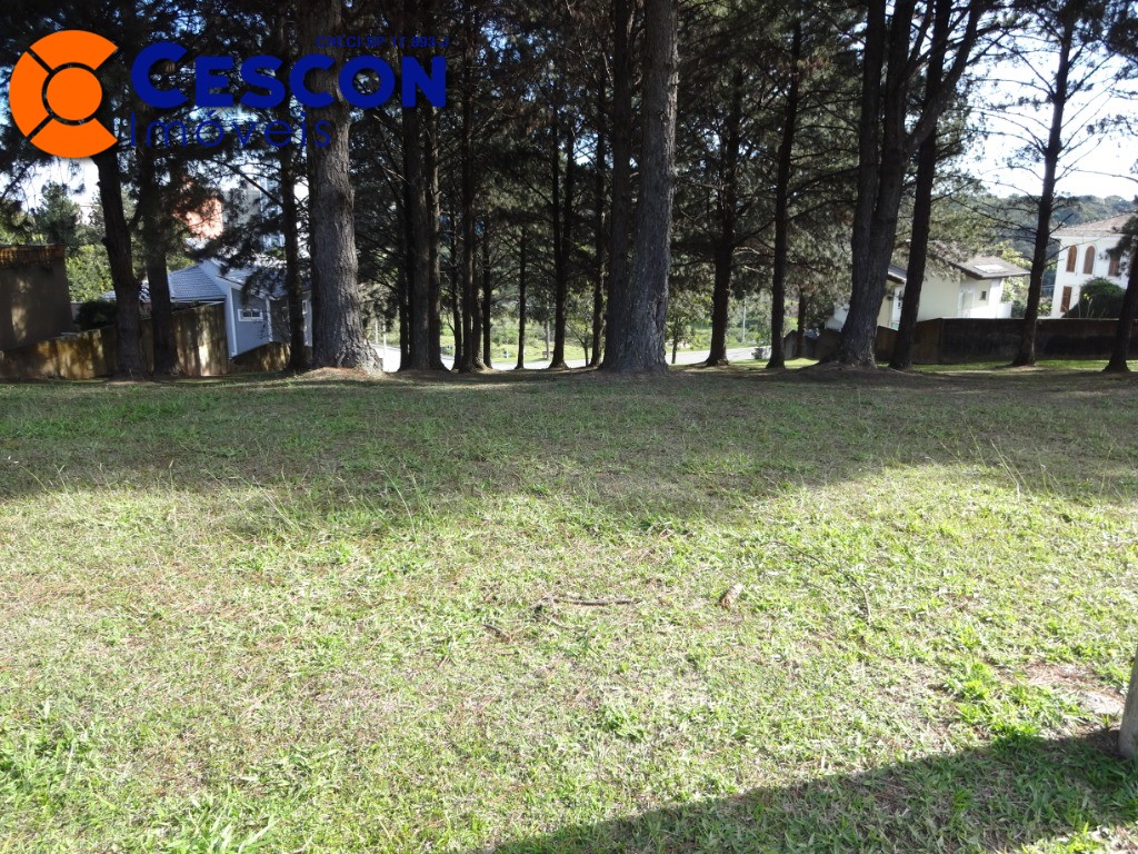 Terreno, 630 m² - Foto 4