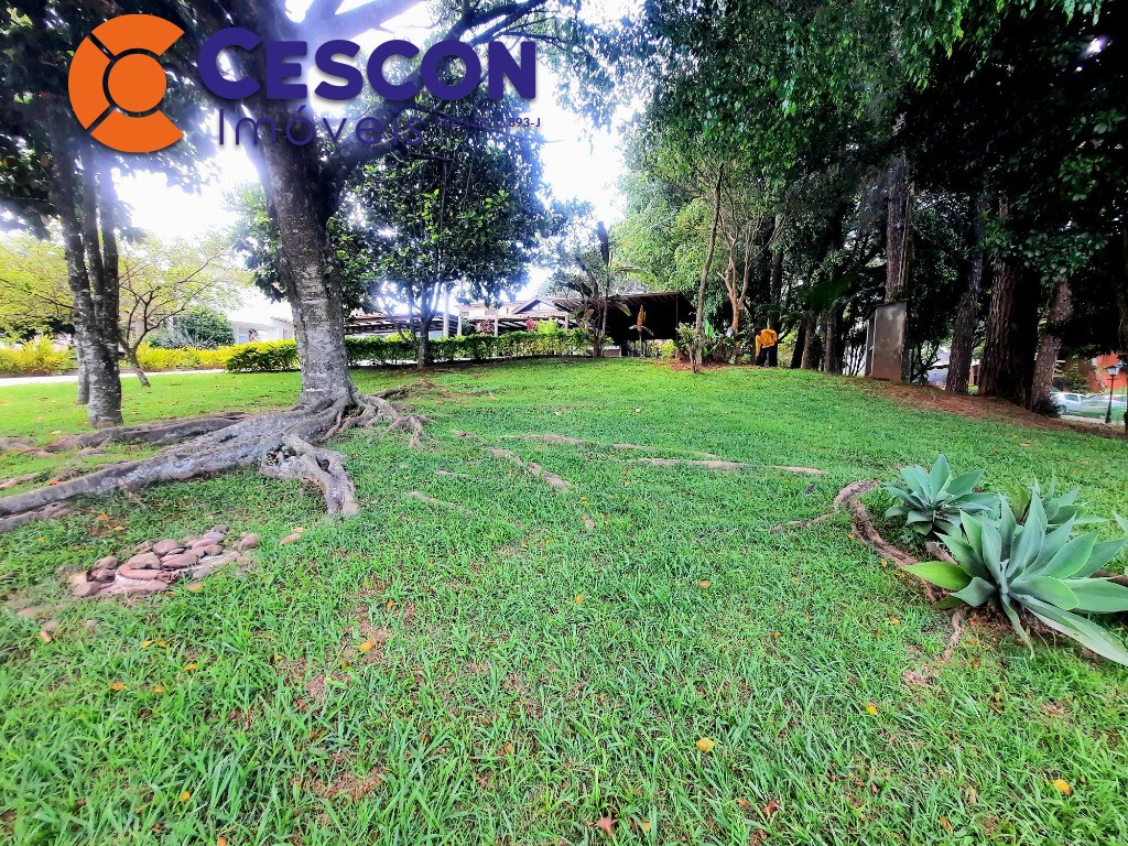 Sítio, 3 quartos, 717 m² - Foto 3