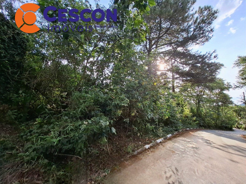 Terreno, 13386 m² - Foto 5