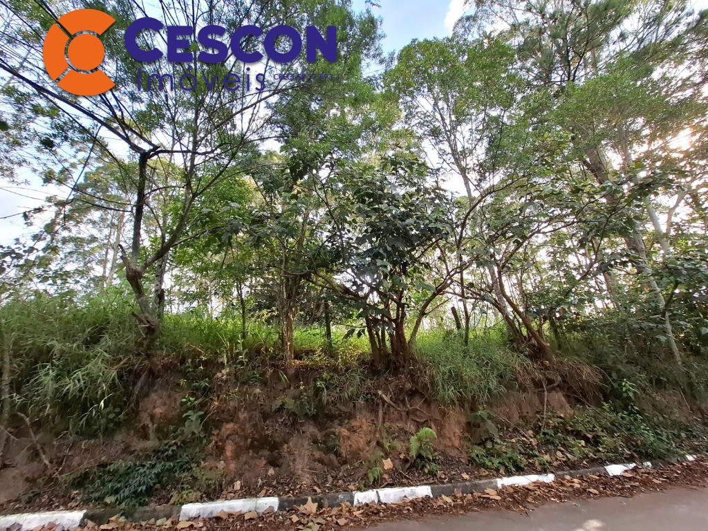 Terreno, 13386 m² - Foto 8