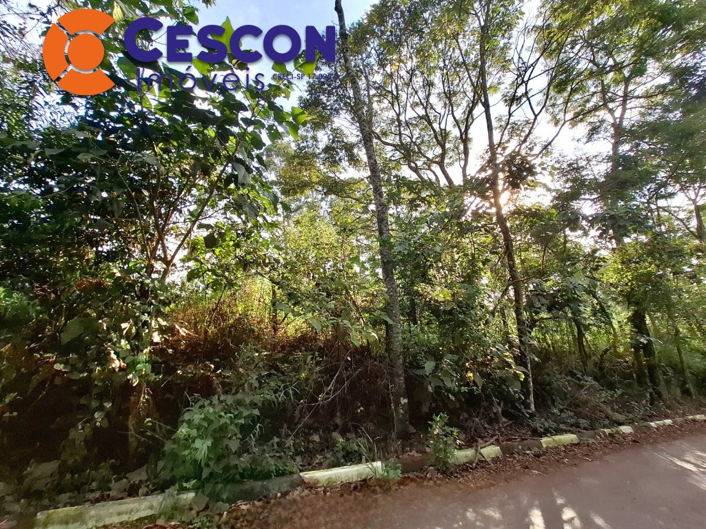 Terreno, 13386 m² - Foto 6
