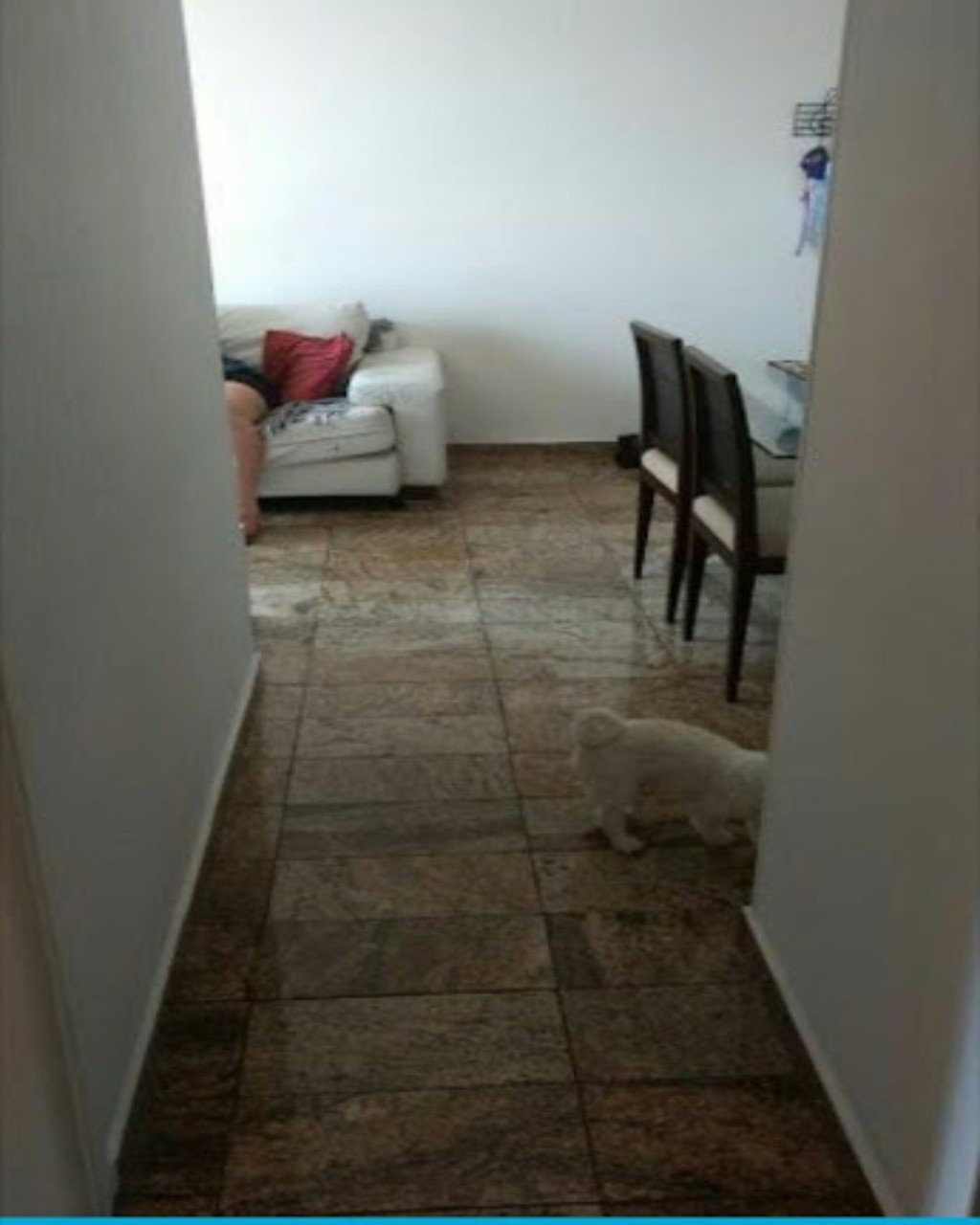 Apartamento, 2 quartos, 63 m² - Foto 14