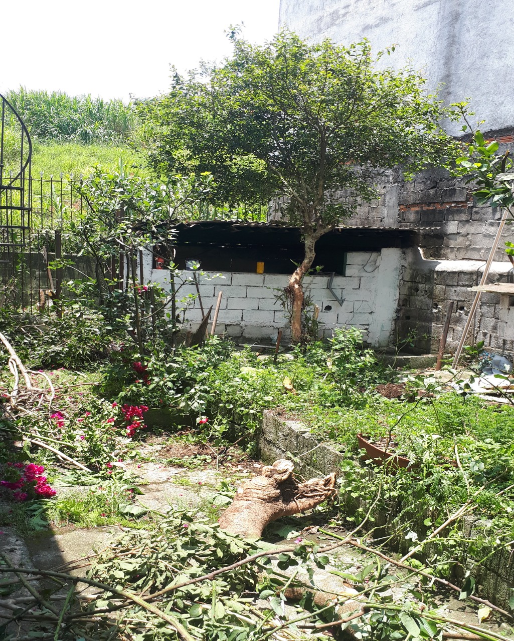 Terreno, 331 m² - Foto 2