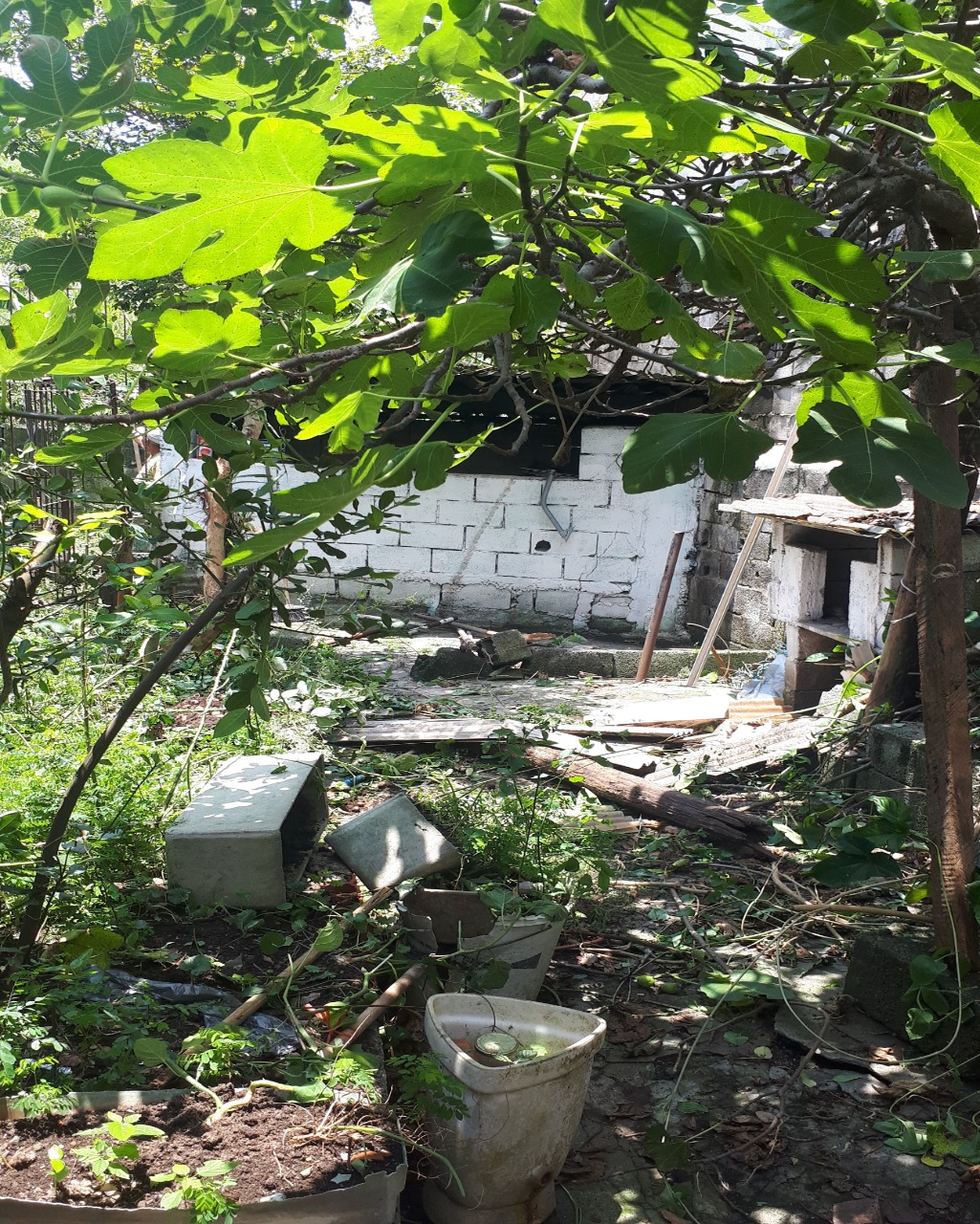 Terreno, 331 m² - Foto 3