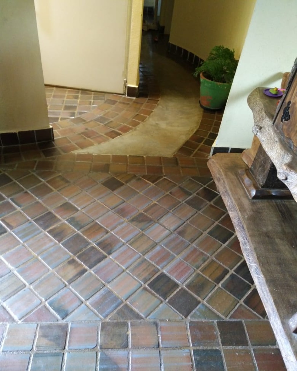 Chácara, 1000 m² - Foto 4