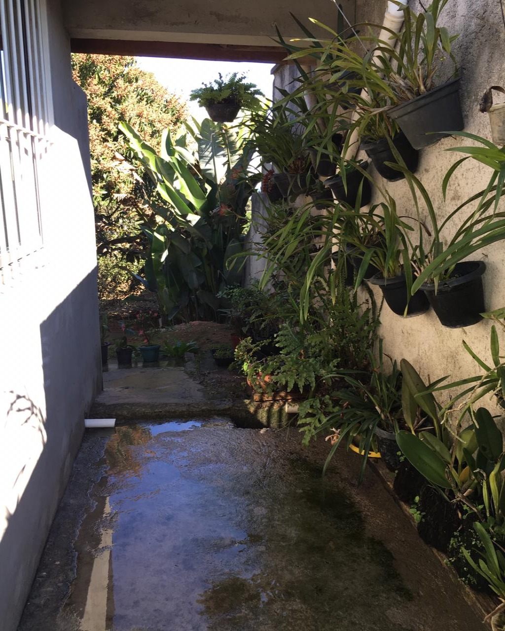 Chácara, 1000 m² - Foto 42