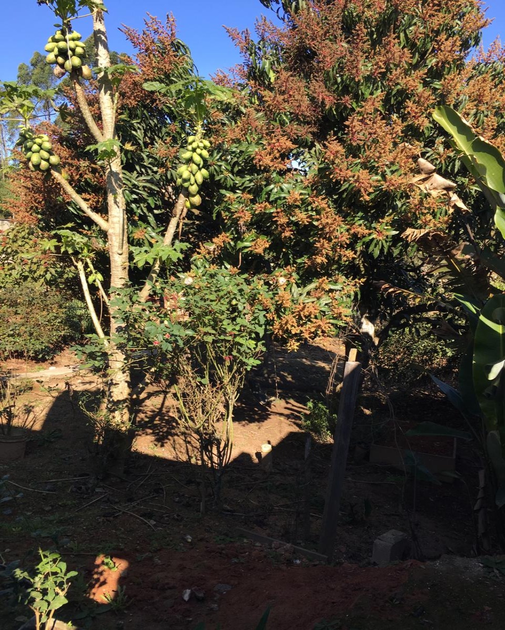 Chácara, 1000 m² - Foto 38