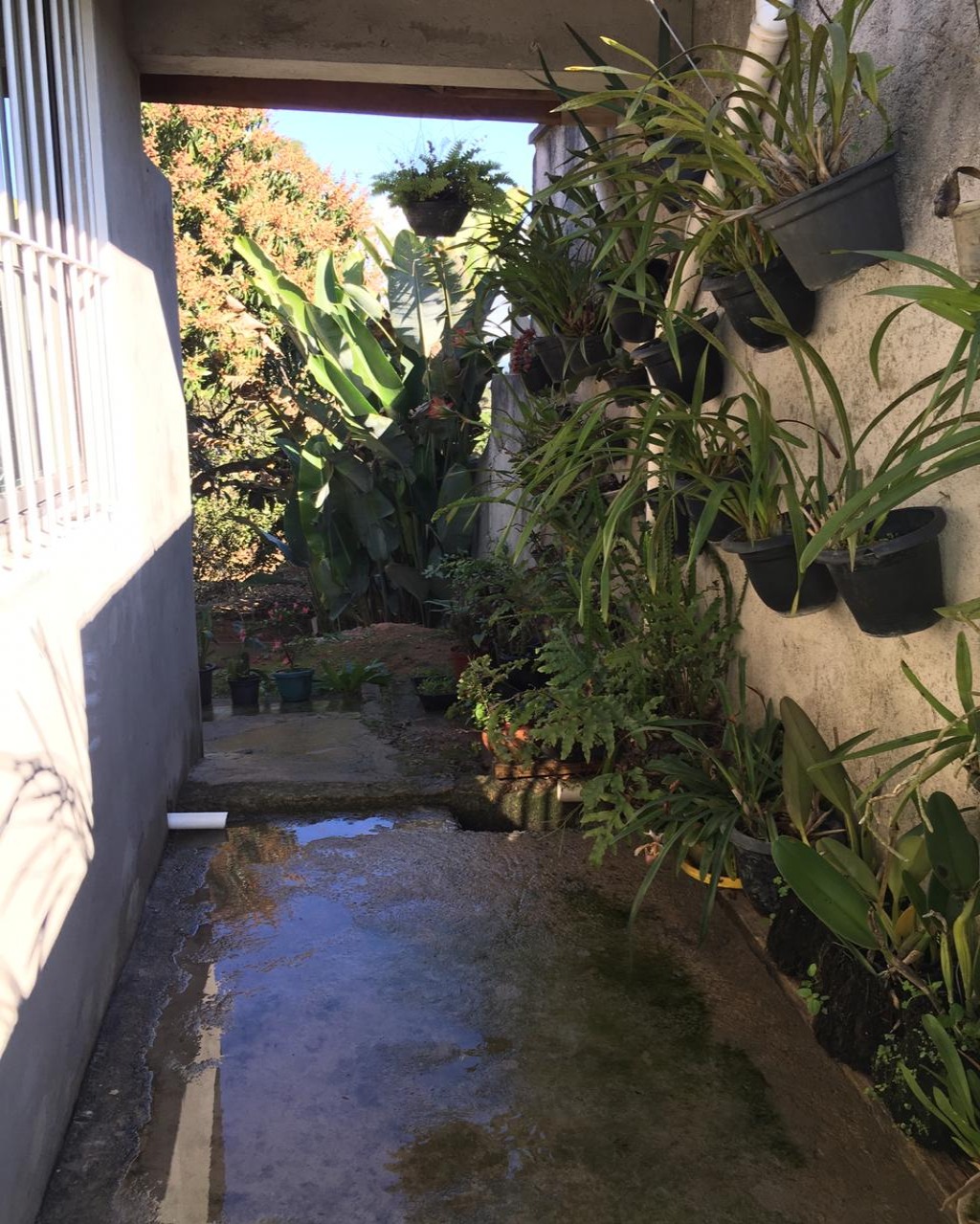 Chácara, 1000 m² - Foto 34