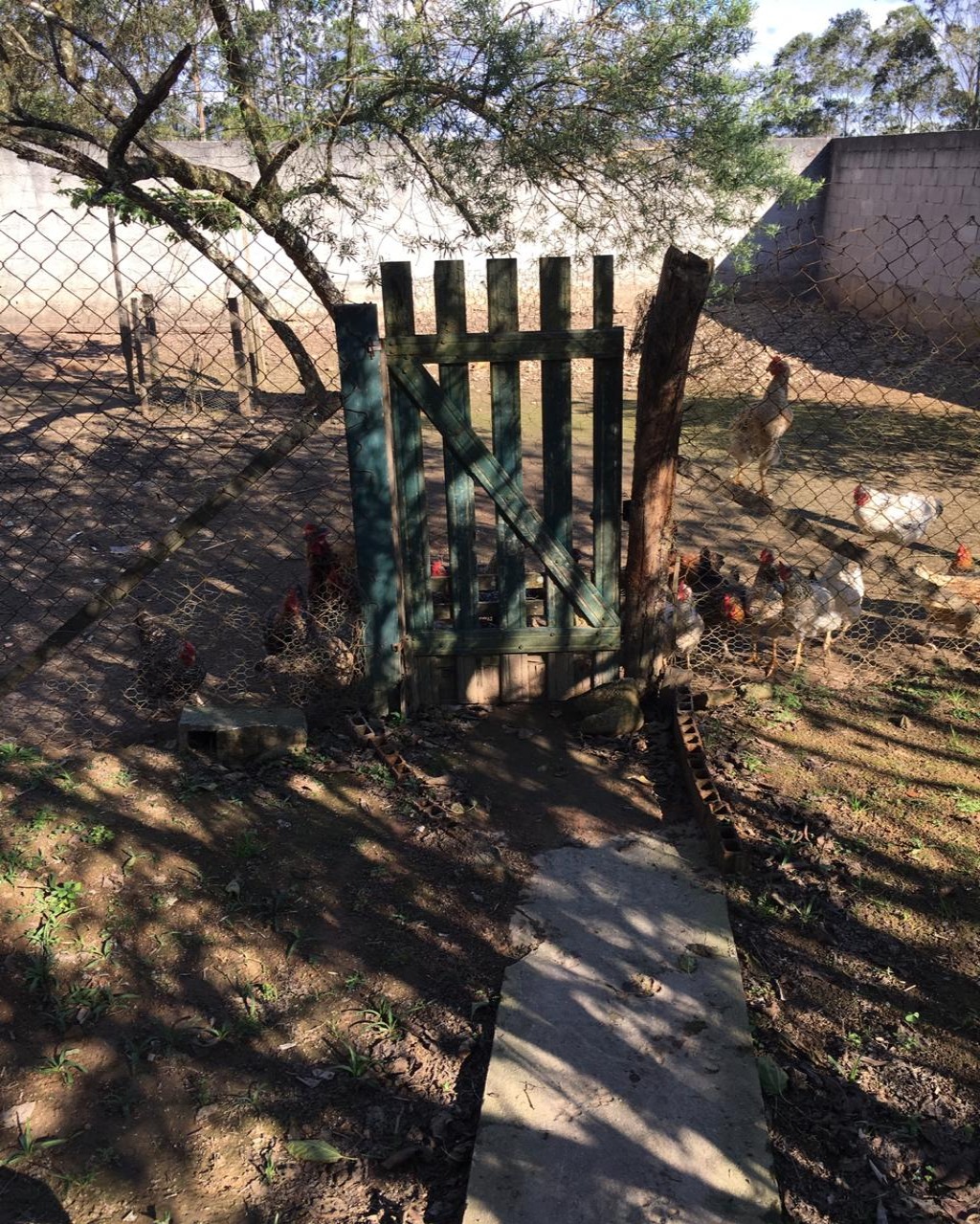 Chácara, 1000 m² - Foto 47