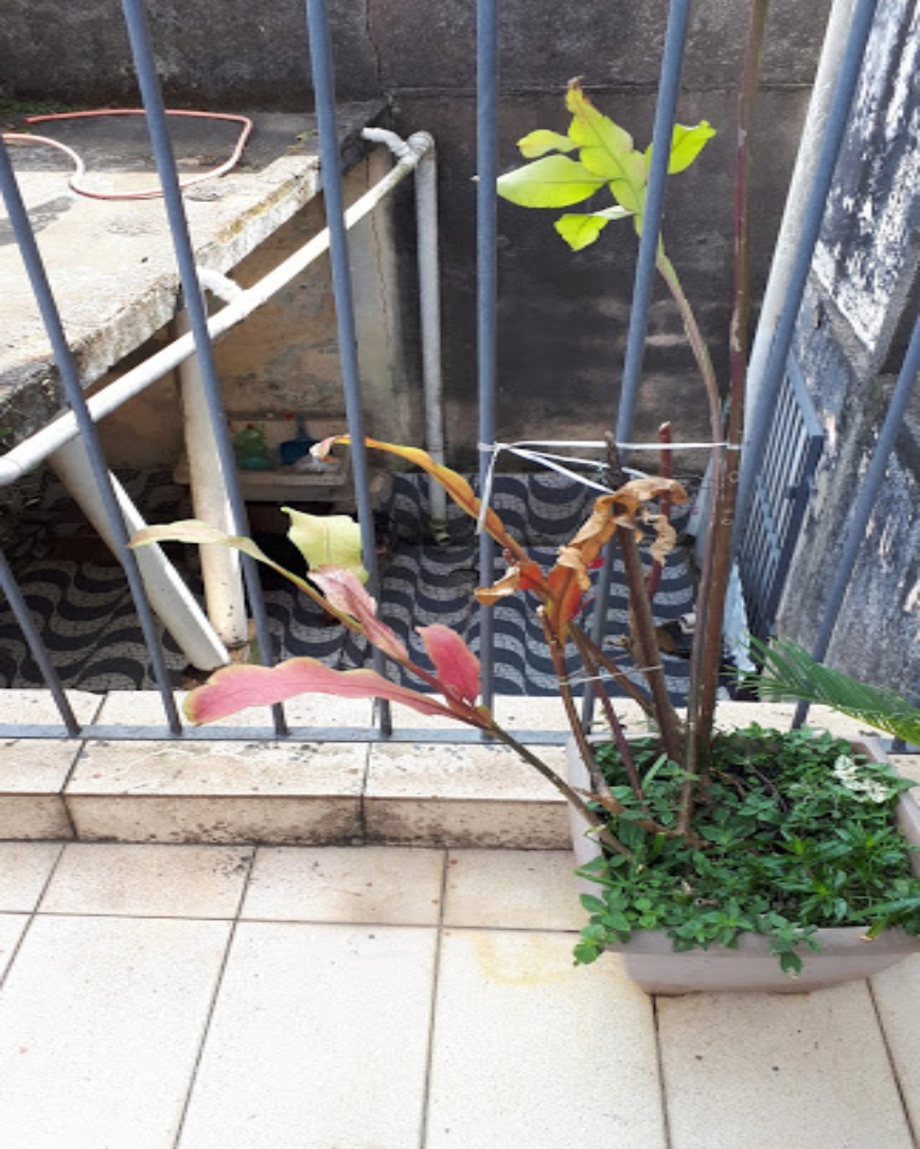 Sobrado, 4 quartos, 204 m² - Foto 22