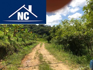 Sítio à venda - Foto 4