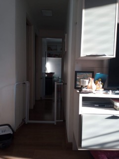 Apartamento, 3 quartos, 59 m² - Foto 11