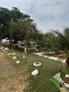 Sítio à venda com 7 quartos, 300m² - Foto 64