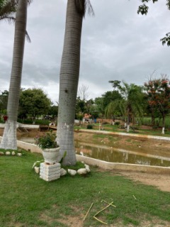 Sítio à venda com 7 quartos, 300m² - Foto 12