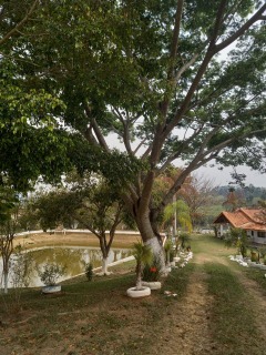 Sítio à venda com 7 quartos, 300m² - Foto 63