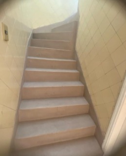 Casa, 3 quartos, 236 m² - Foto 36