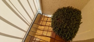 Apartamento, 2 quartos, 47 m² - Foto 20