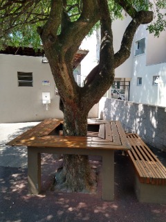 Apartamento, 3 quartos, 55 m² - Foto 15