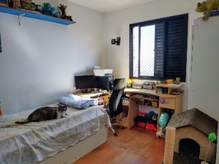 Apartamento, 3 quartos, 75 m² - Foto 11
