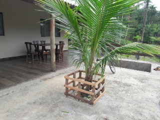 Sítio, 4 quartos, 5 m² - Foto 18