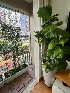 Apartamento, 3 quartos, 61 m² - Foto 21