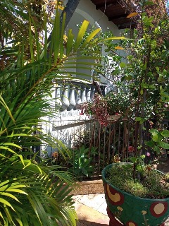 Casa, 6 quartos - Foto 6