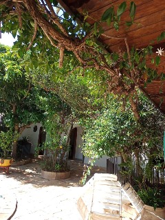 Casa, 6 quartos - Foto 5