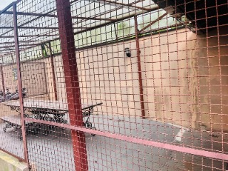 Apartamento, 2 quartos, 54 m² - Foto 35