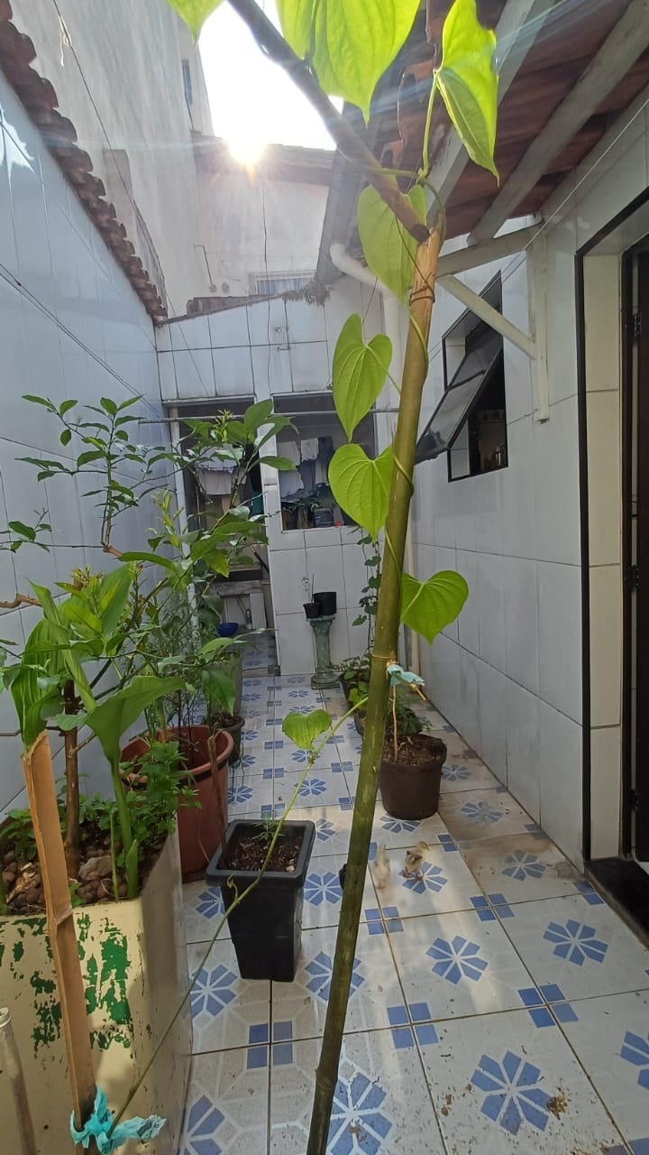 Casa, 2 quartos - Foto 2