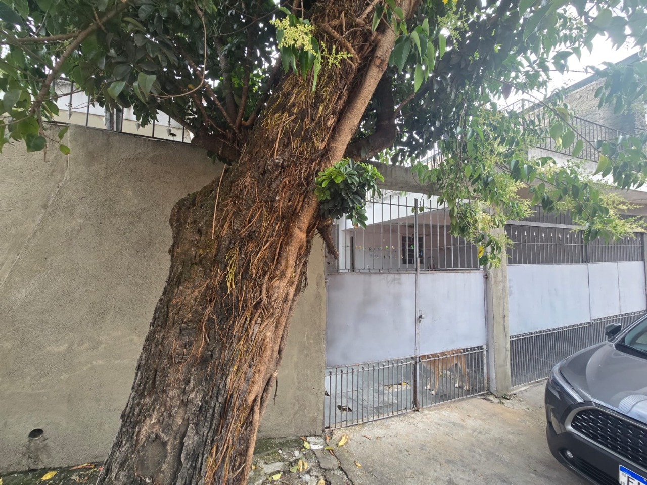 Sobrado, 5 quartos - Foto 5